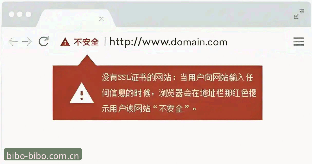 BIBO安全登录入口安装失败深度分析：5大常见原因与全面解决方案